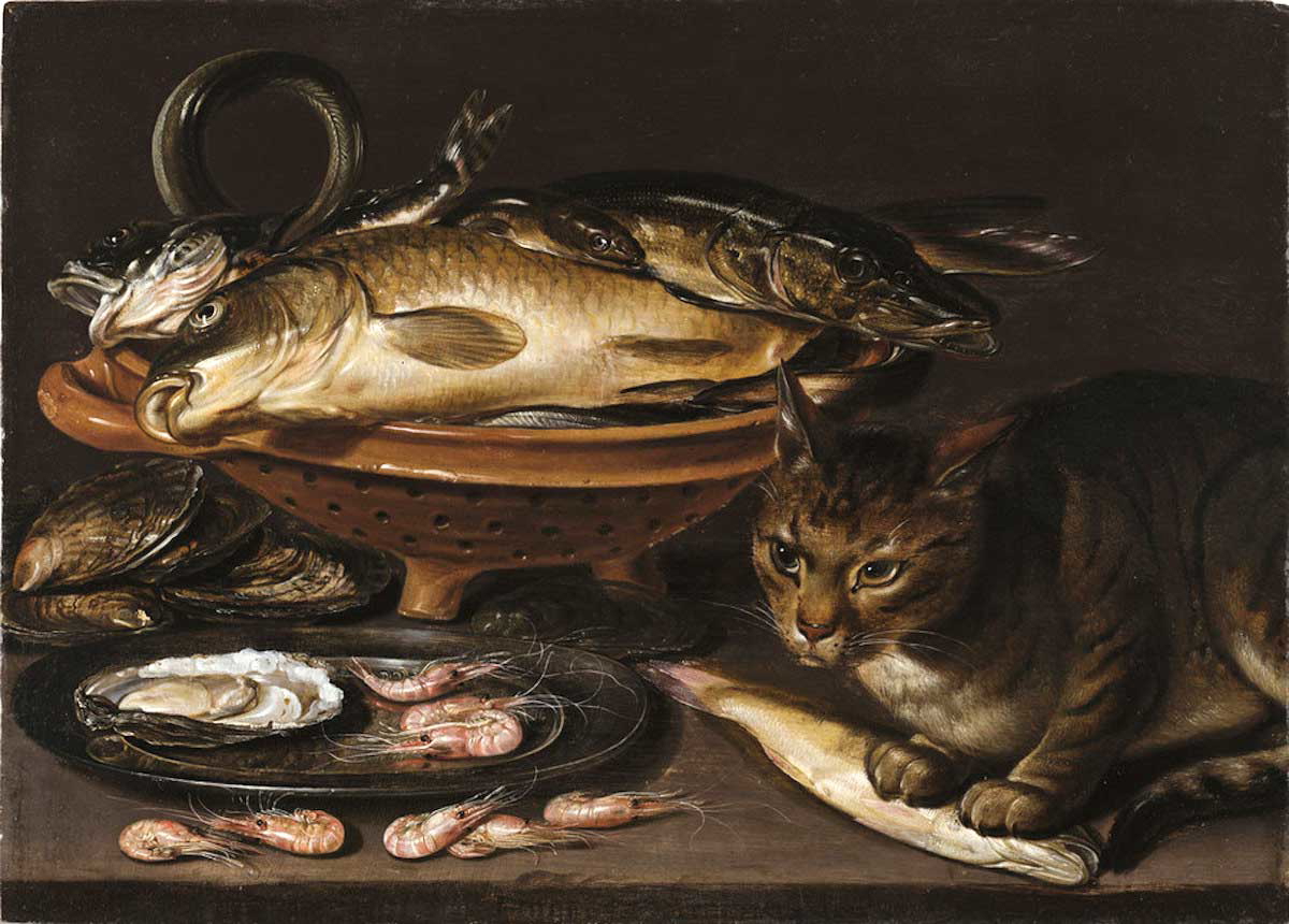cat fish still life clara peeters
