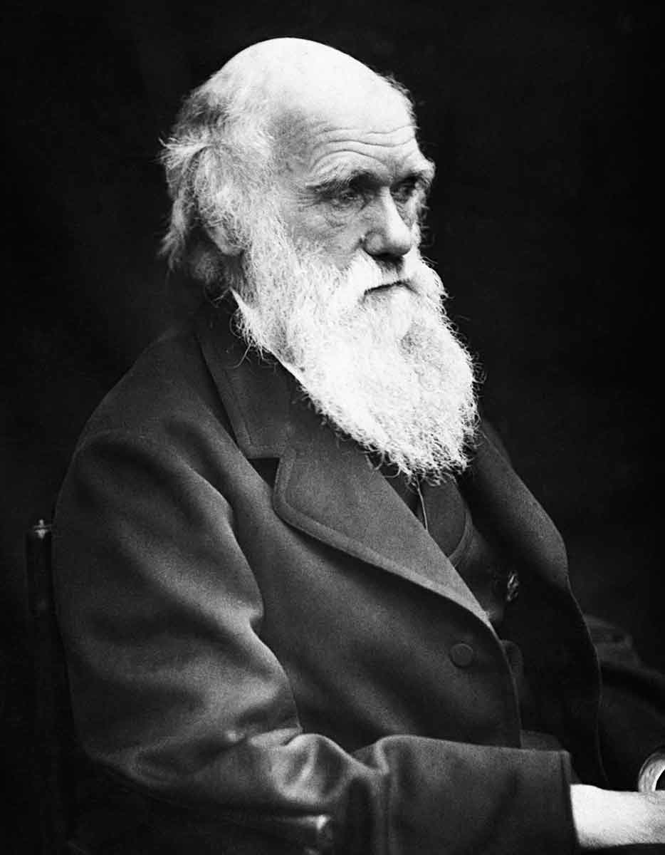 charles darwin photo