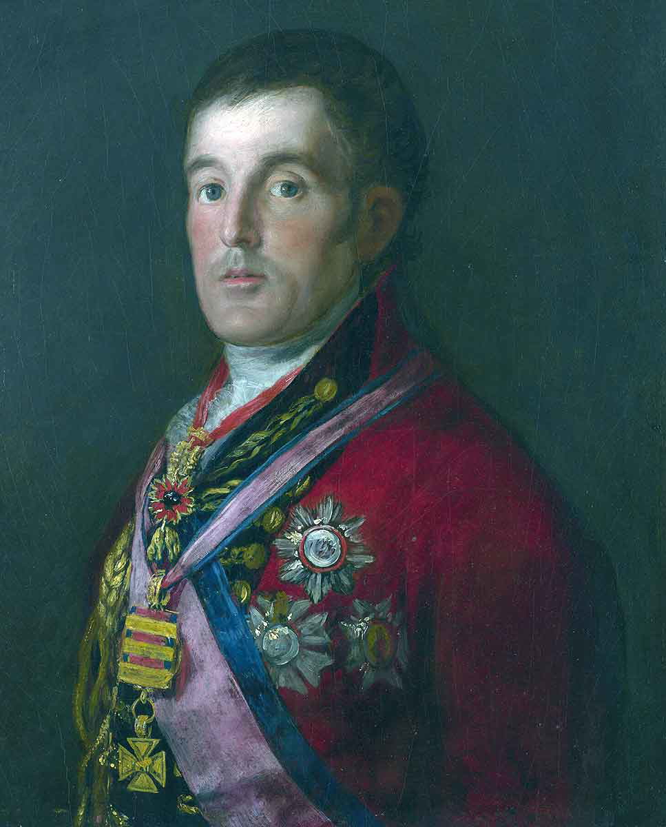 duke wellington goya