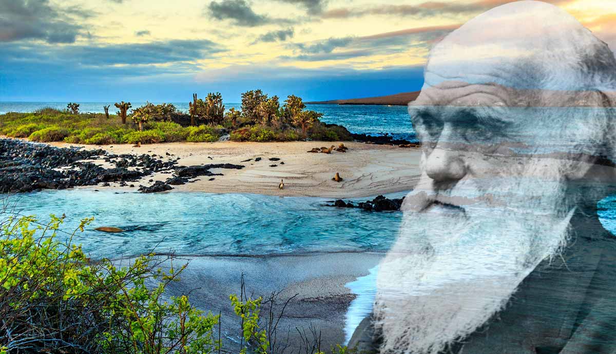 galapagos islands natural wonders charles darwin