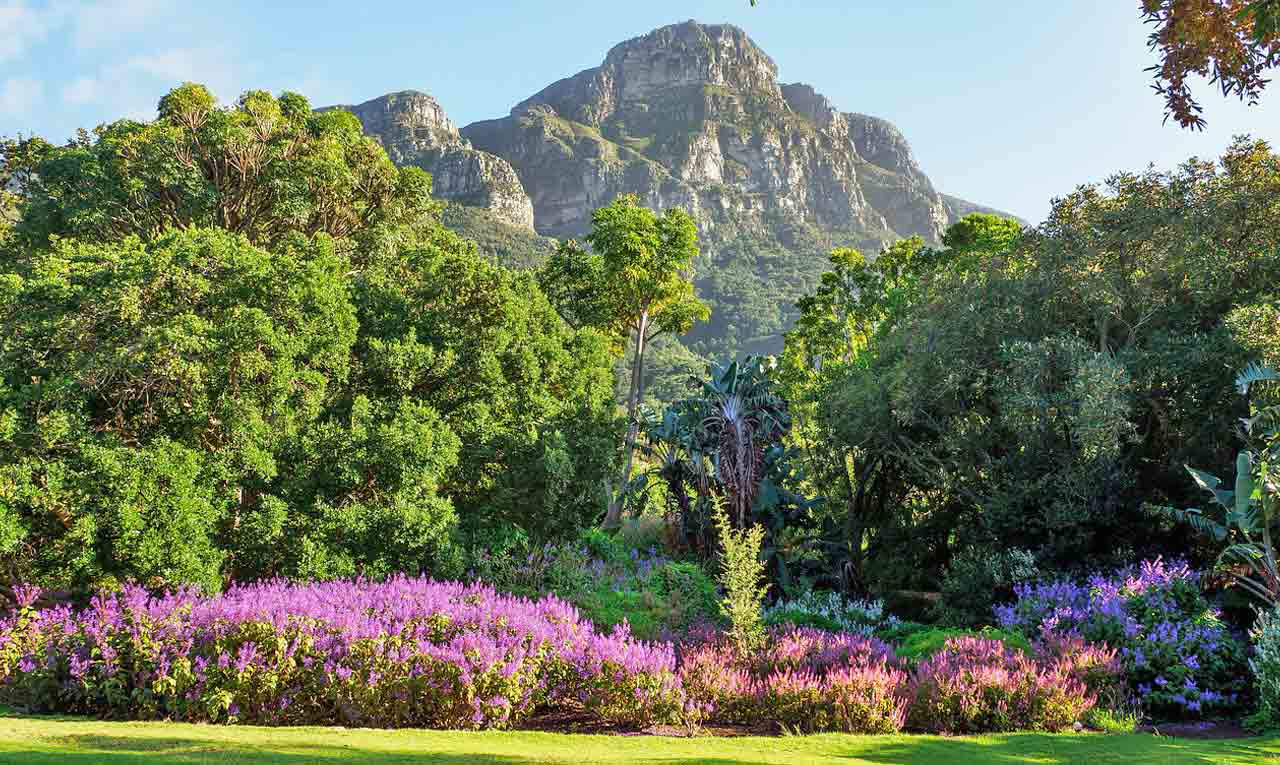 Kirstenbosch Botanical Gardens. Image: Needpix
