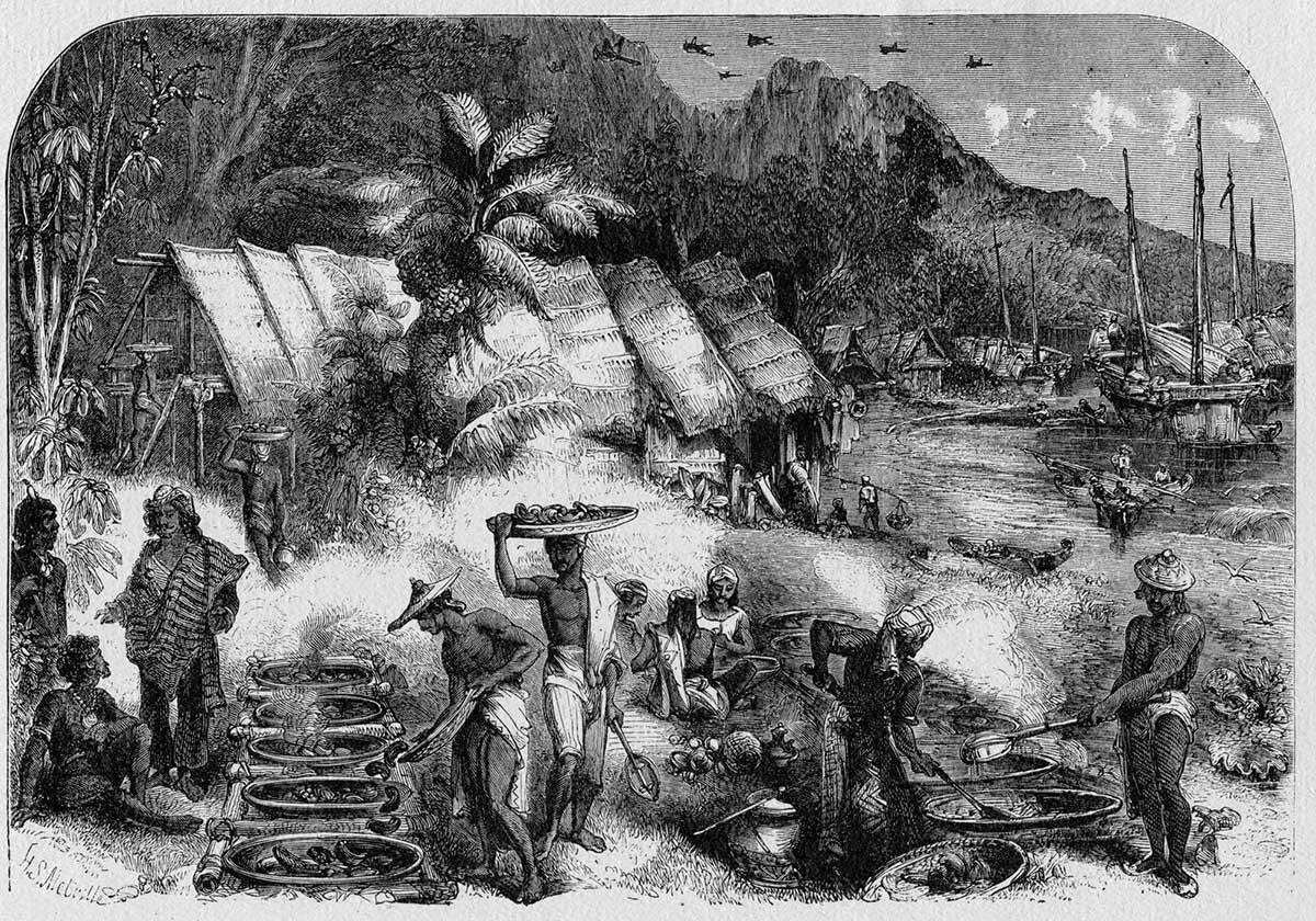 macassans at victoria
