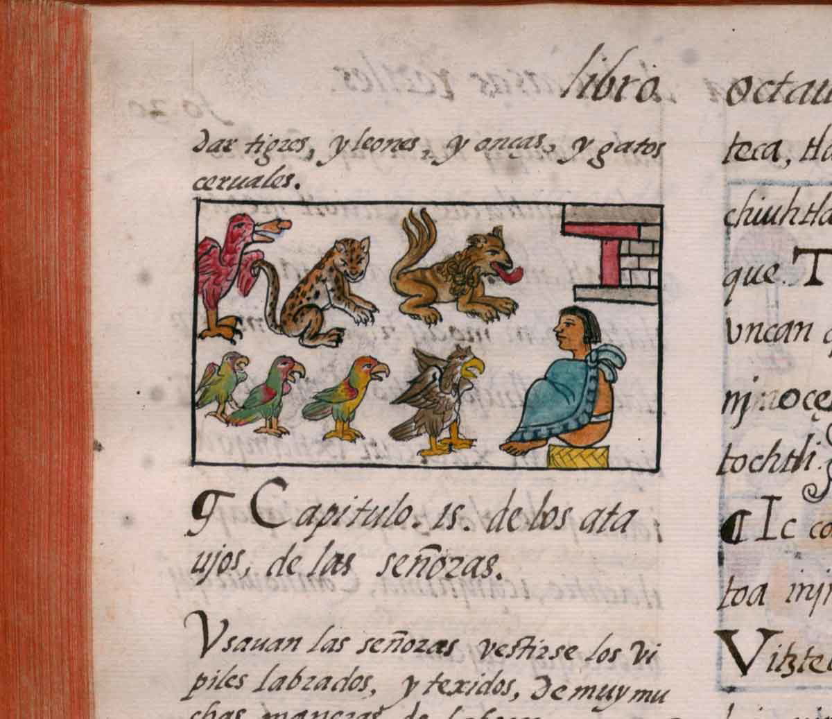 montezuma--zoo-florentine-codex