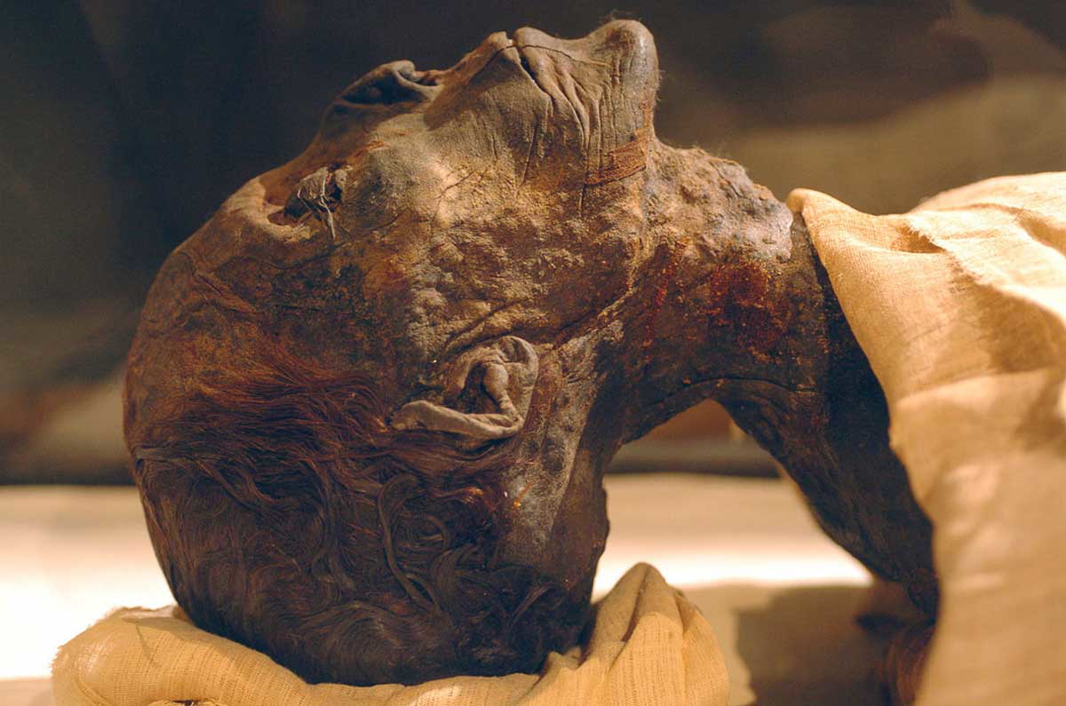 mummy of king amenhotep ii