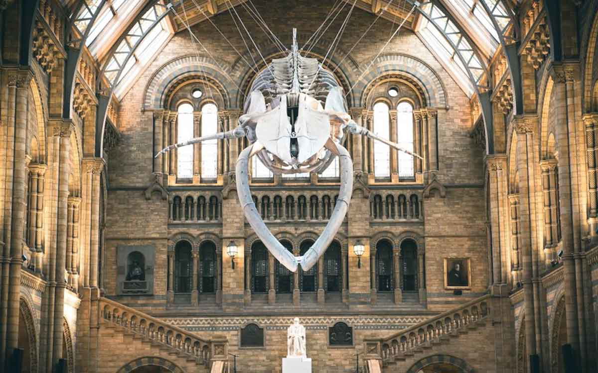 natural history museum london