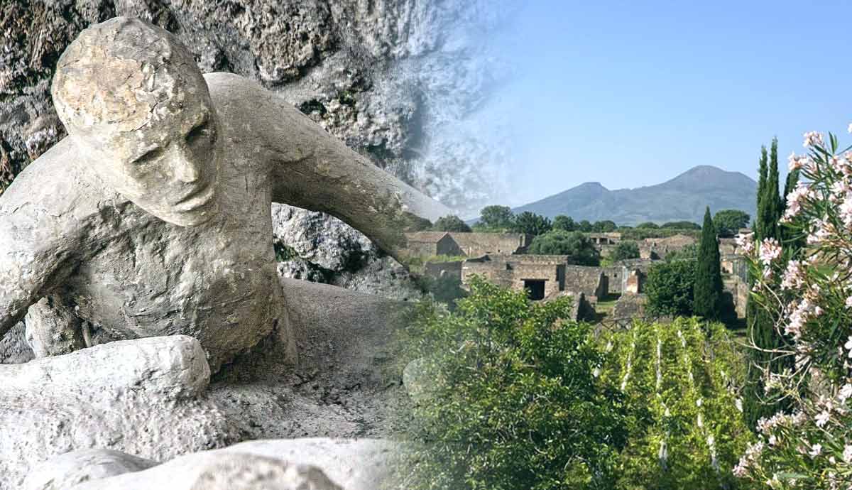 pompeii archeological site frozen evolving