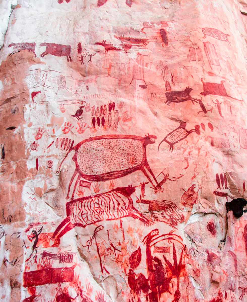 rock art chiribiquete
