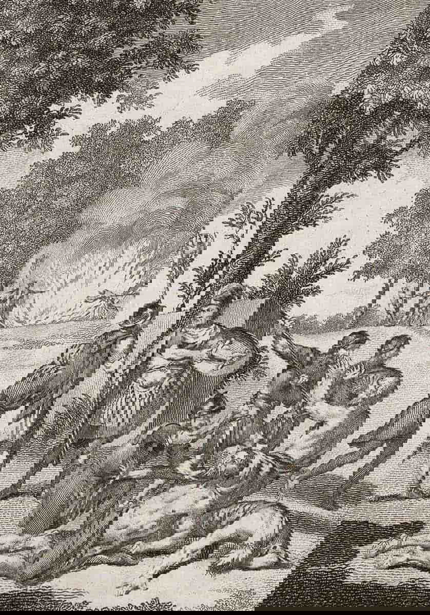 romans druids anglesey conquest