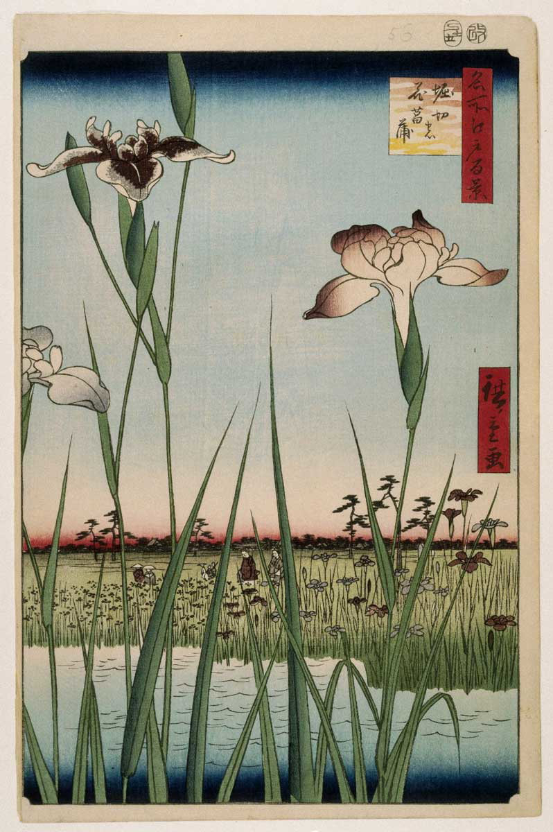 utagawa hiroshige horikiri iris garden