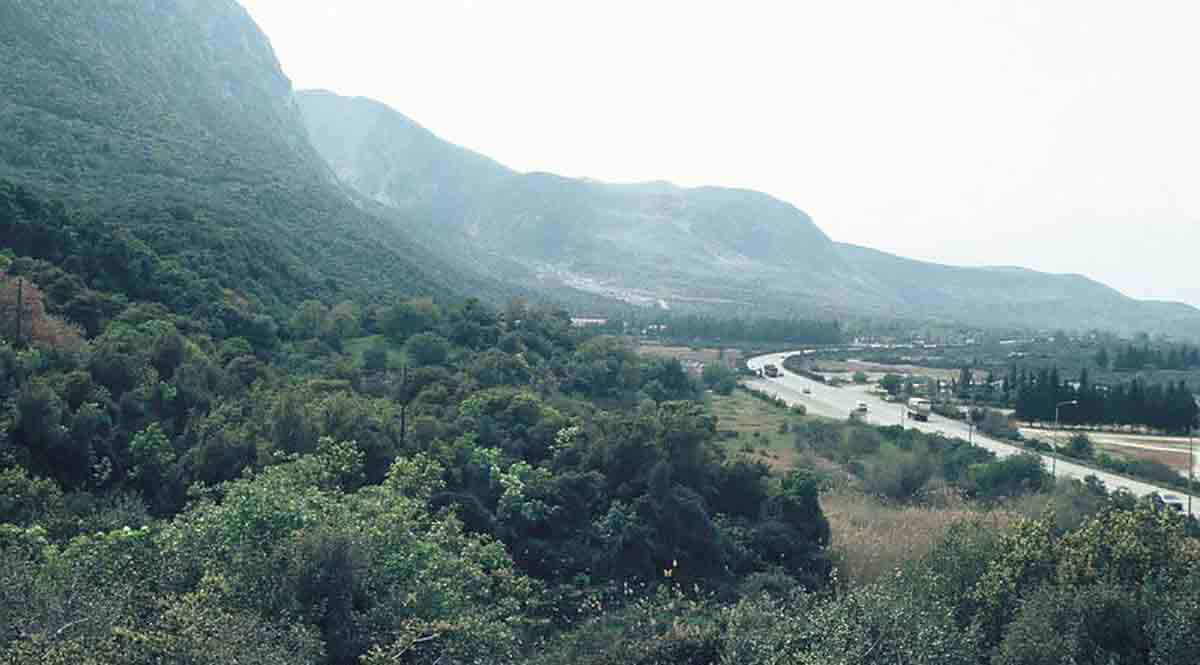 view of thermopylae livius celtic invasion