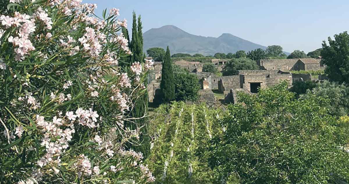 view versuvius pompeii