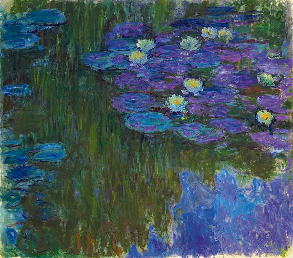 water lilies bloom claude monet