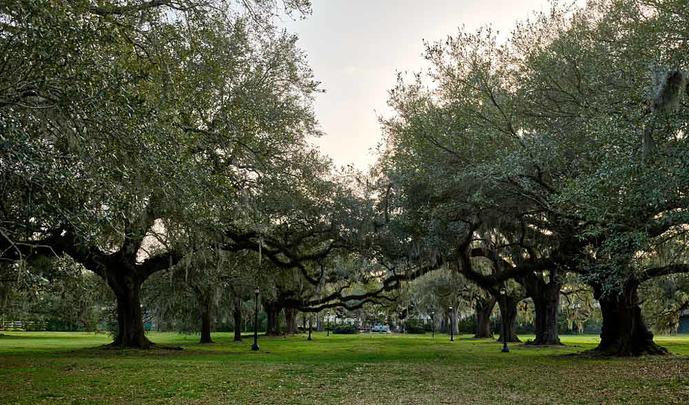audubon park new orleans