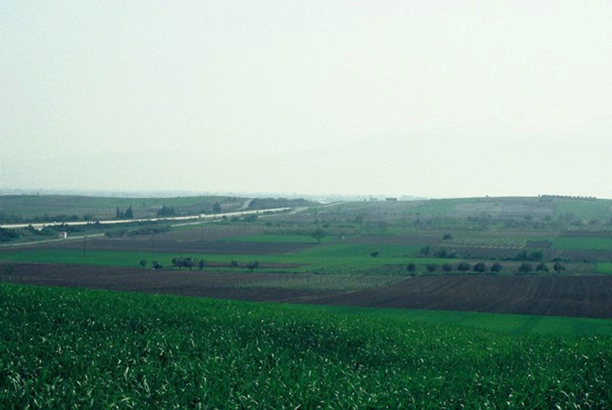 battlefield pydna livius