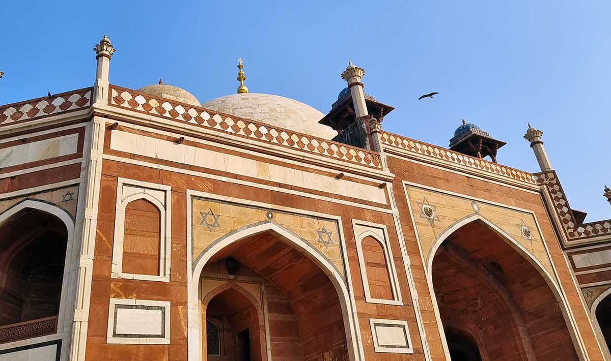 birds humayuns tomb