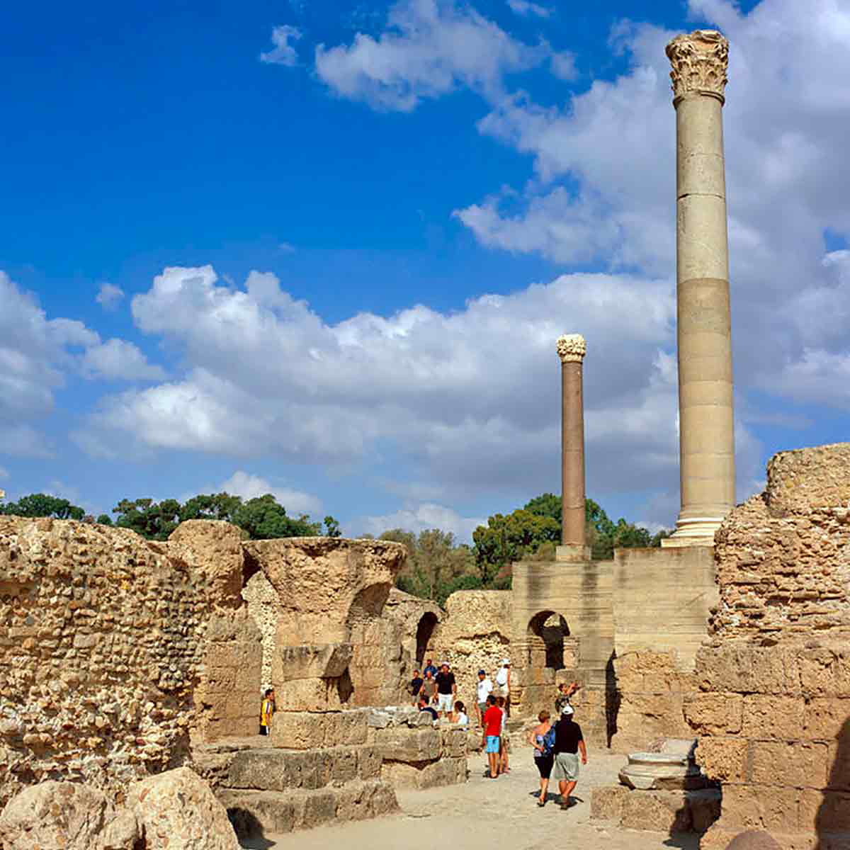 carthage ruins north africa