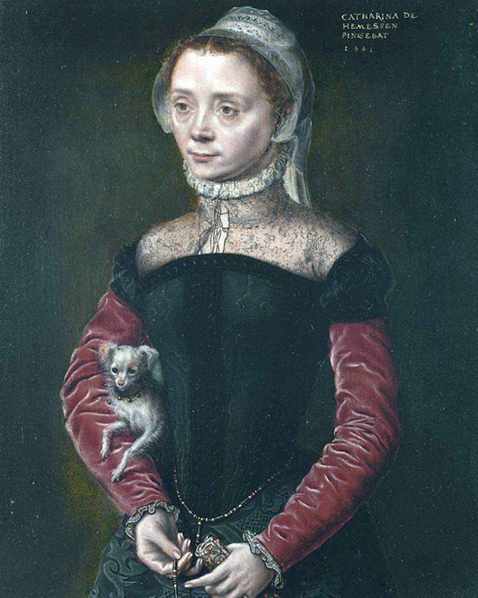 catharina van hemessen portrait of a lady