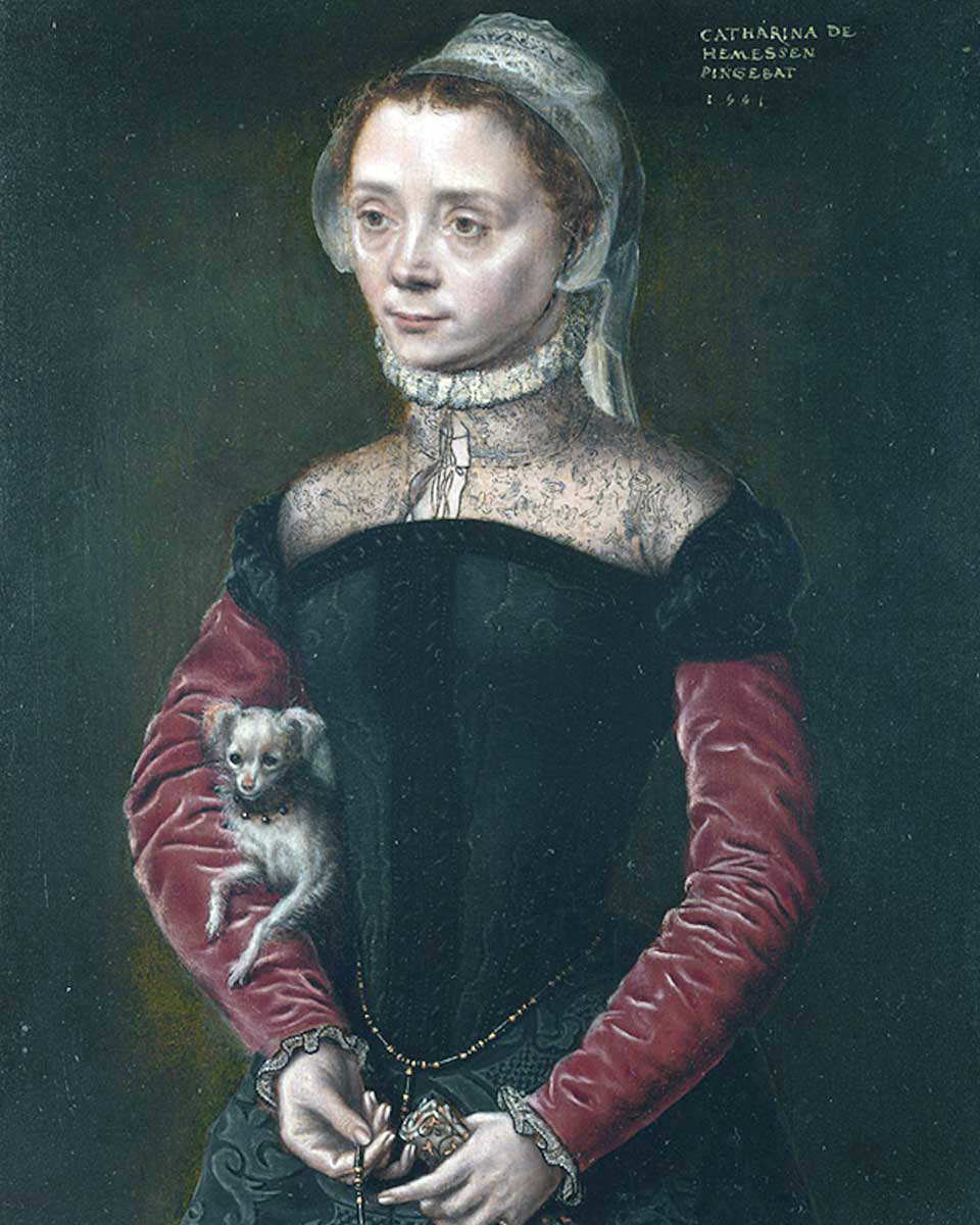 catharina van hemessen portrait of a lady
