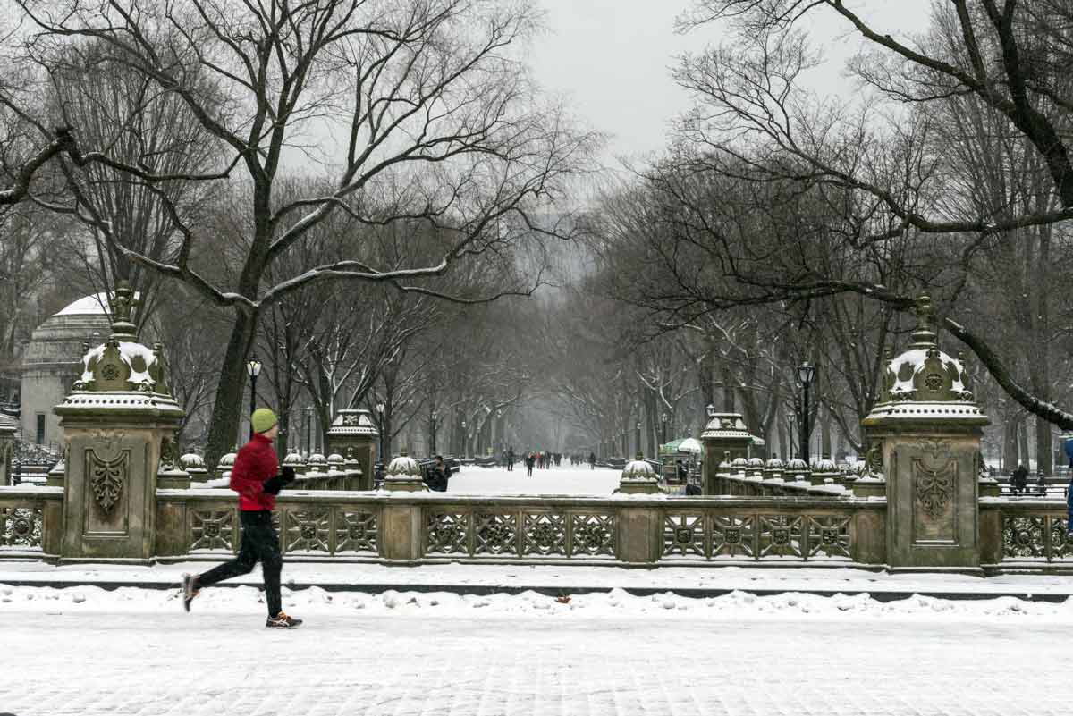 central park jogger