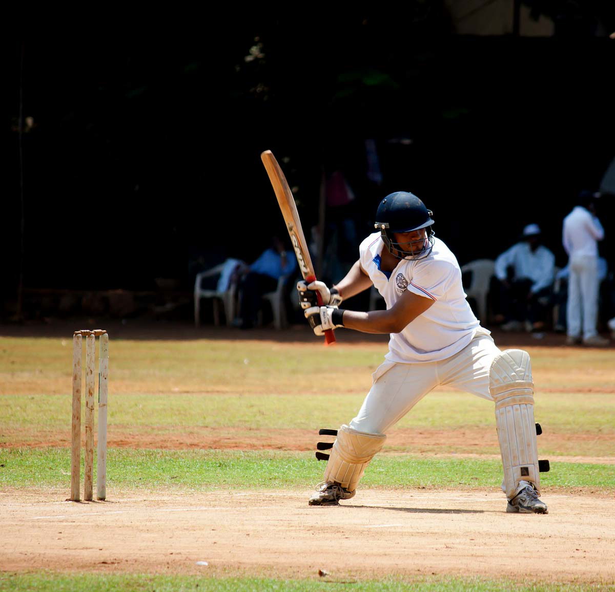 cricket image 2