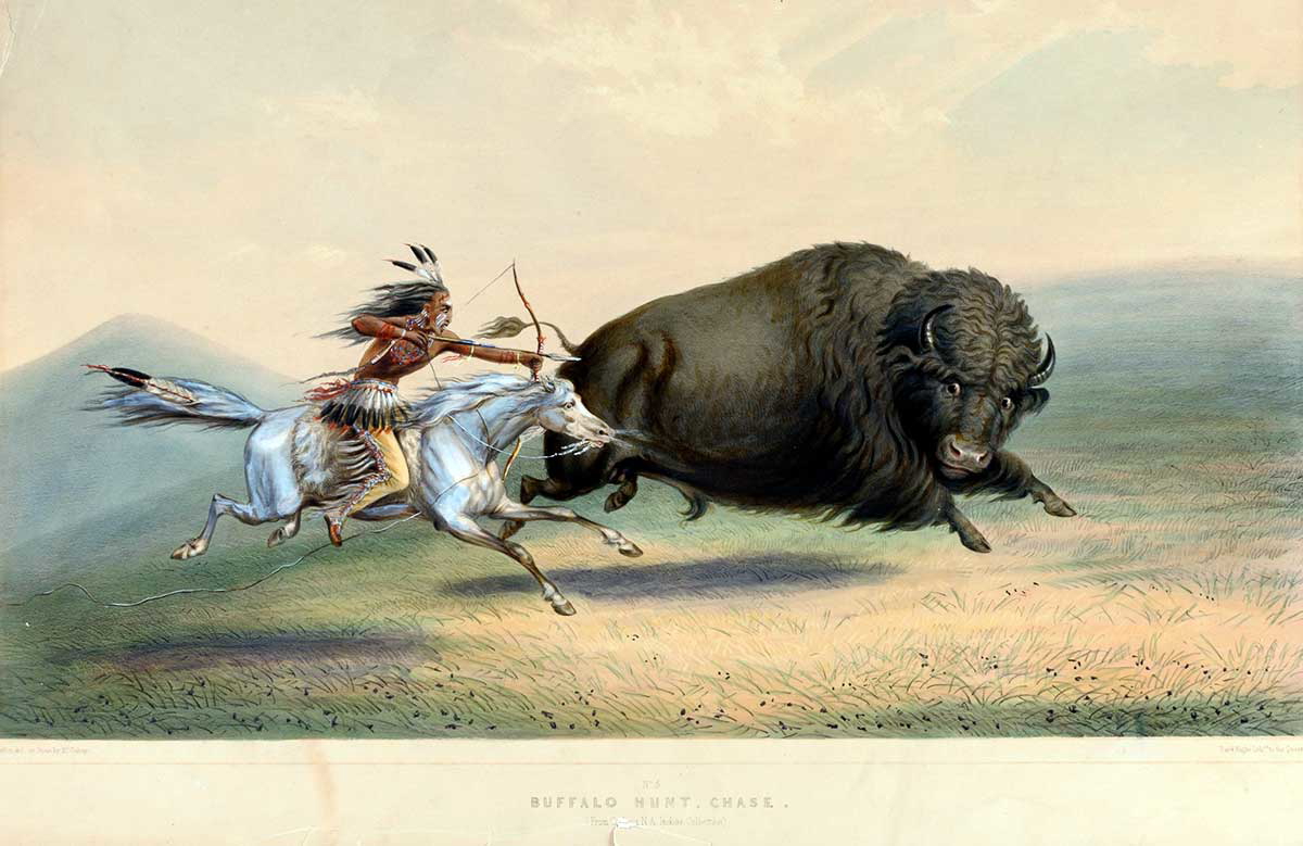george catlin buffalo hunt chase no 5