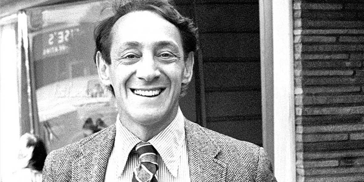 harvey milk smile