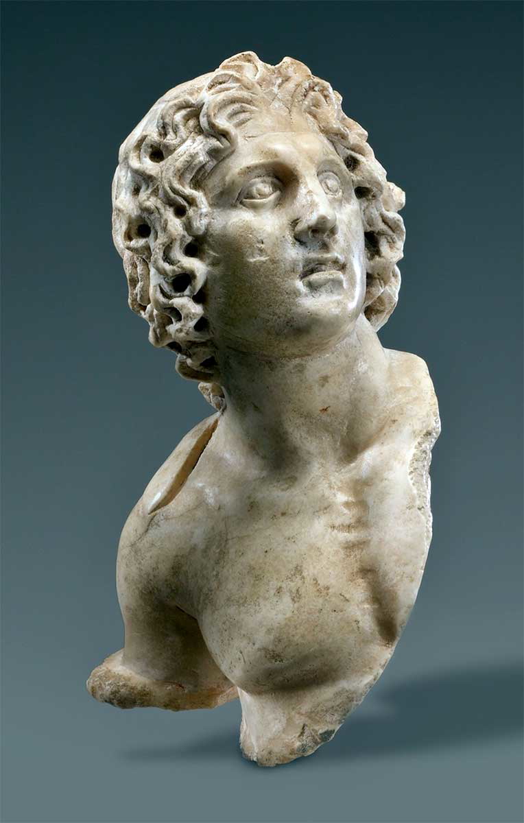 head and torso alexander