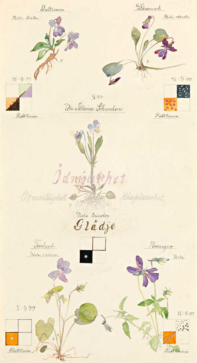 hilma af klint violets drawing