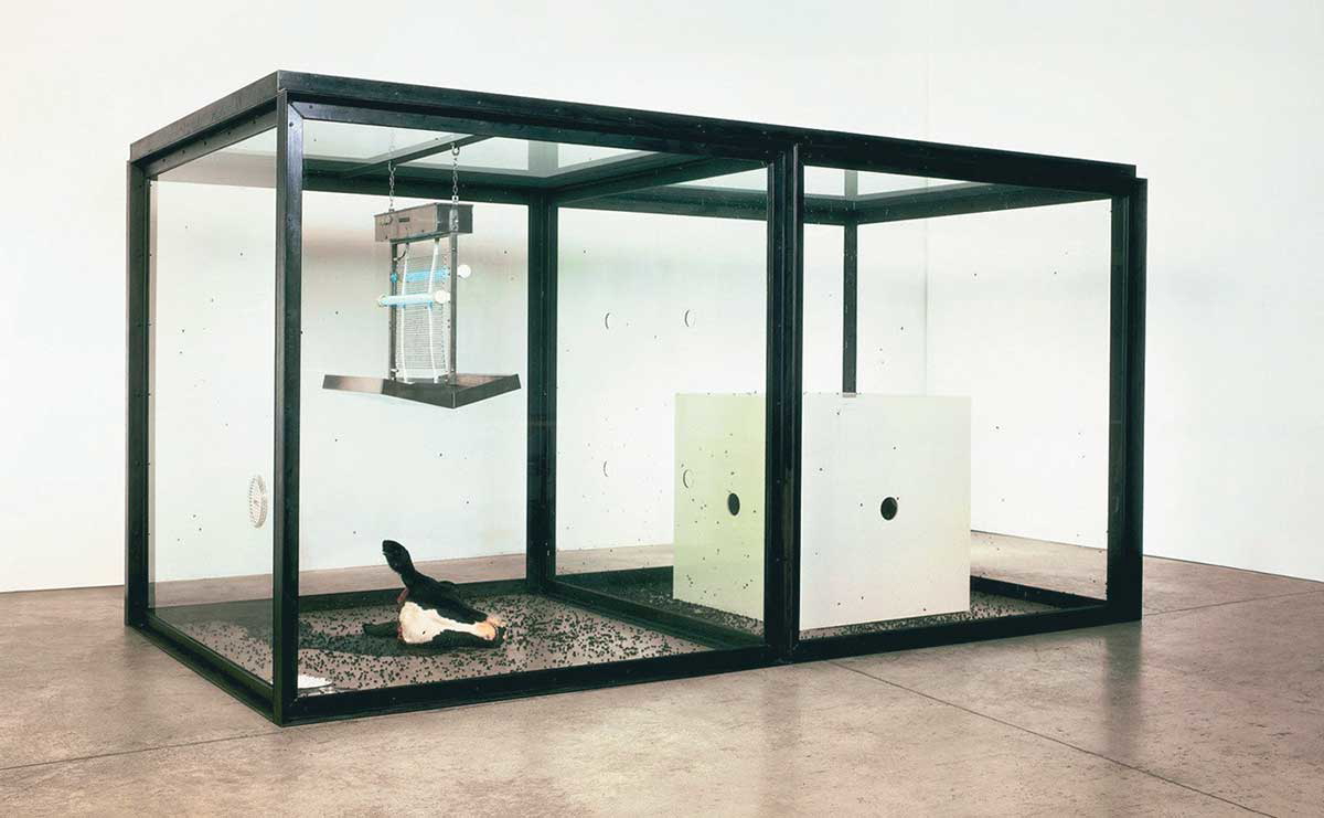 hirst thousand years installation