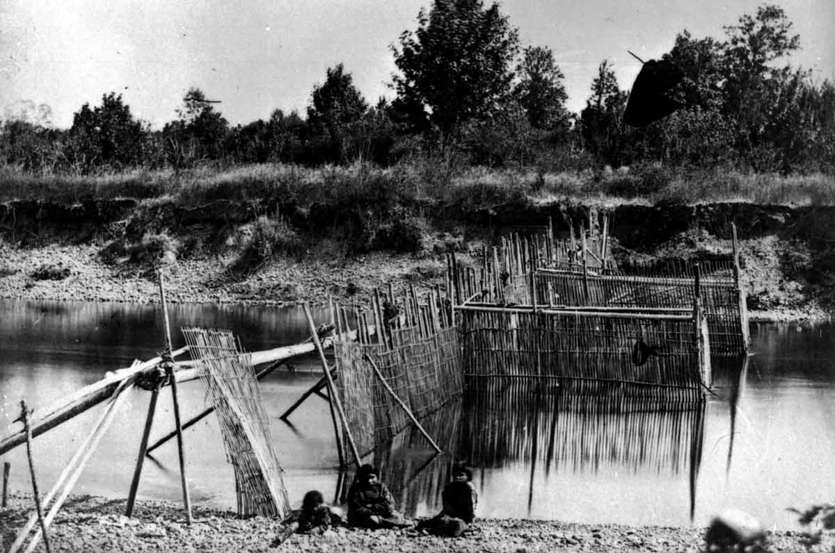 indigenous fisheries first nations