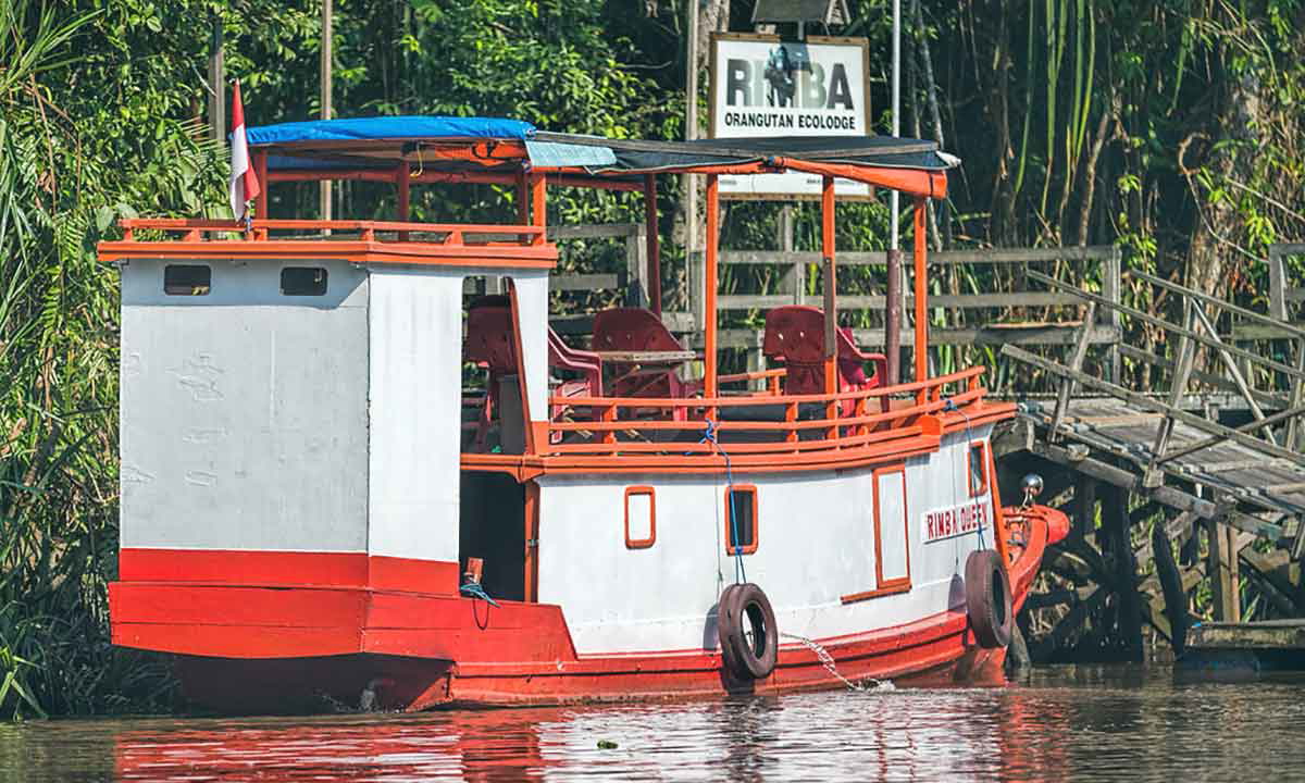 indonesia klotok boat
