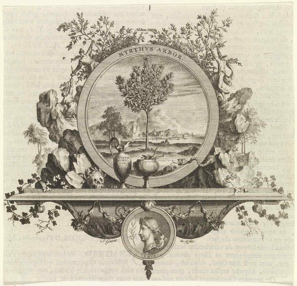 jan goeree myrtle tree emblem rijksmuseum
