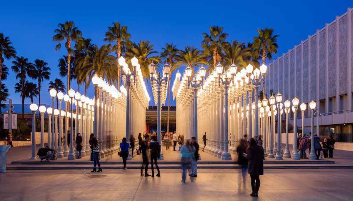 lacma museum urban lights