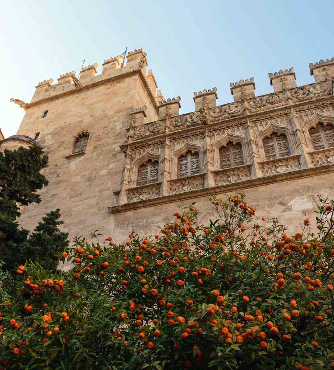 lonja valencia architecture oranges
