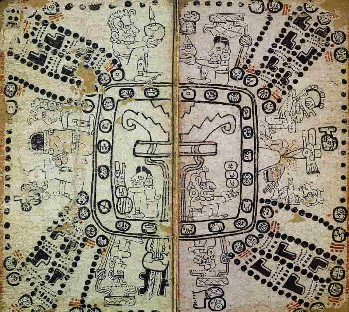 madrid codex mayan book