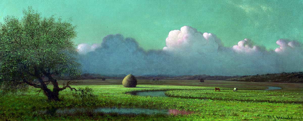 martin johnson heade sunlight and shadow painting