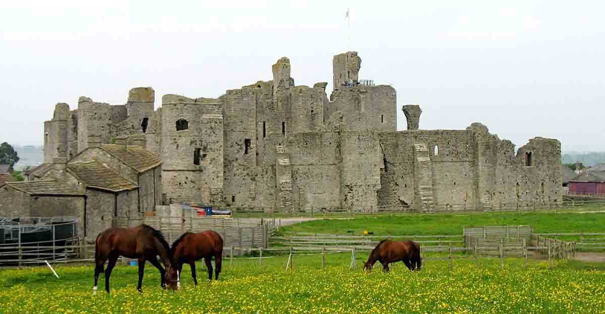 middleham english castle horses