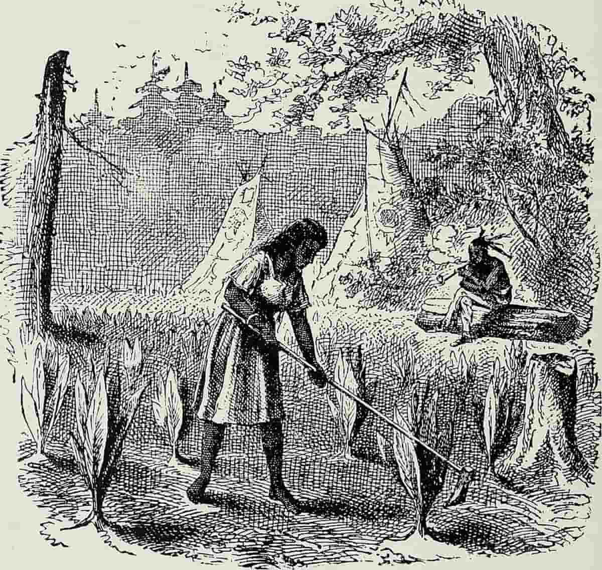 petun iroquoian woman tobacco
