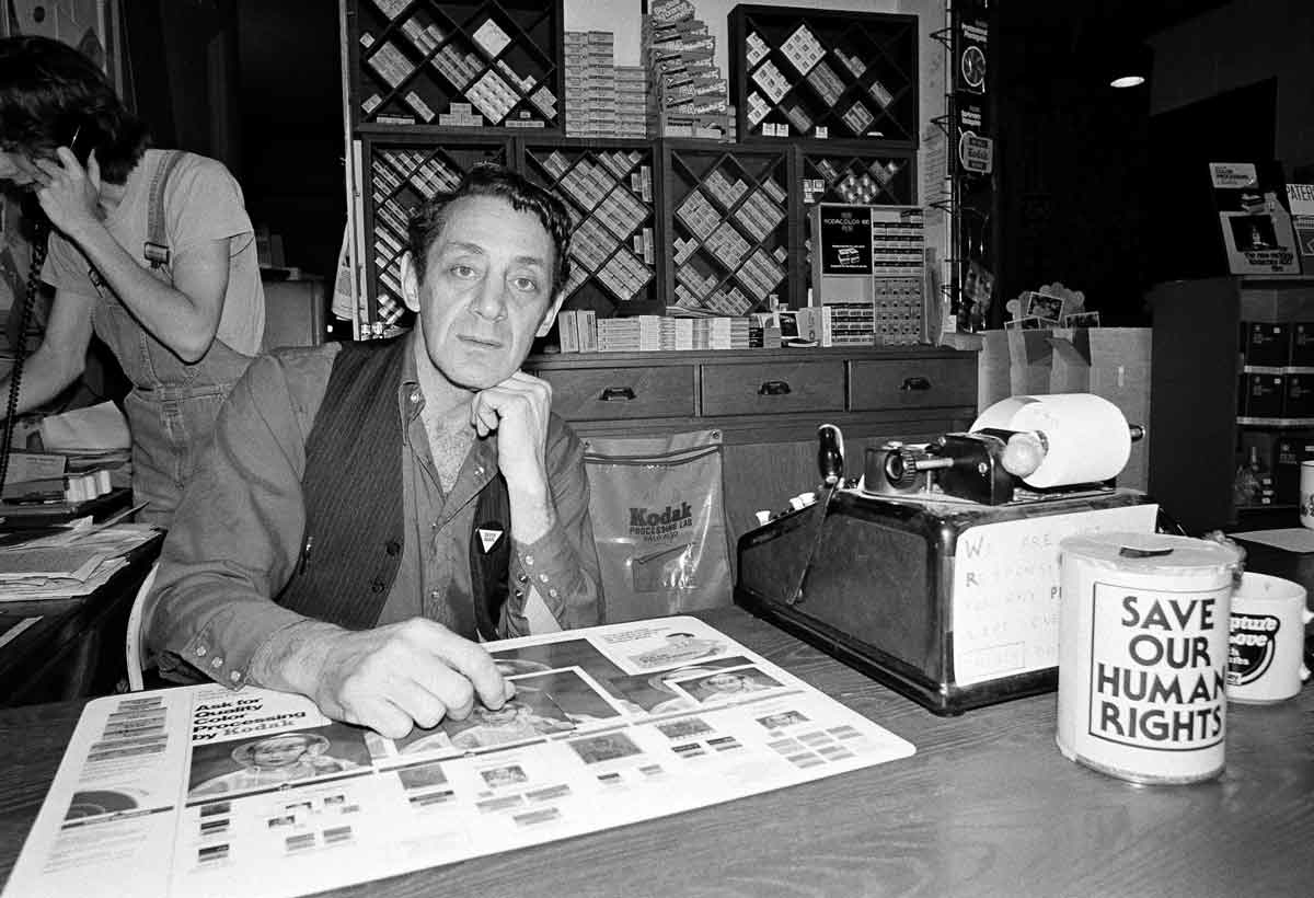 photograph harvey milk