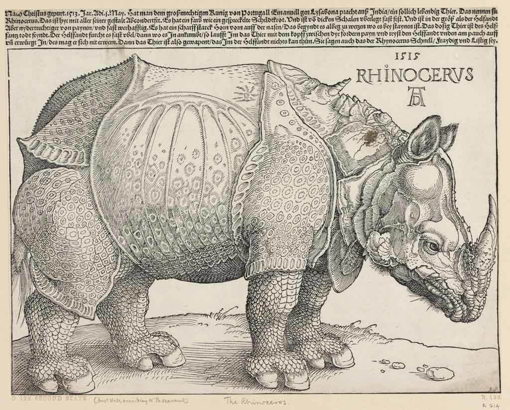 rhinoceros durer fralin museum online collection