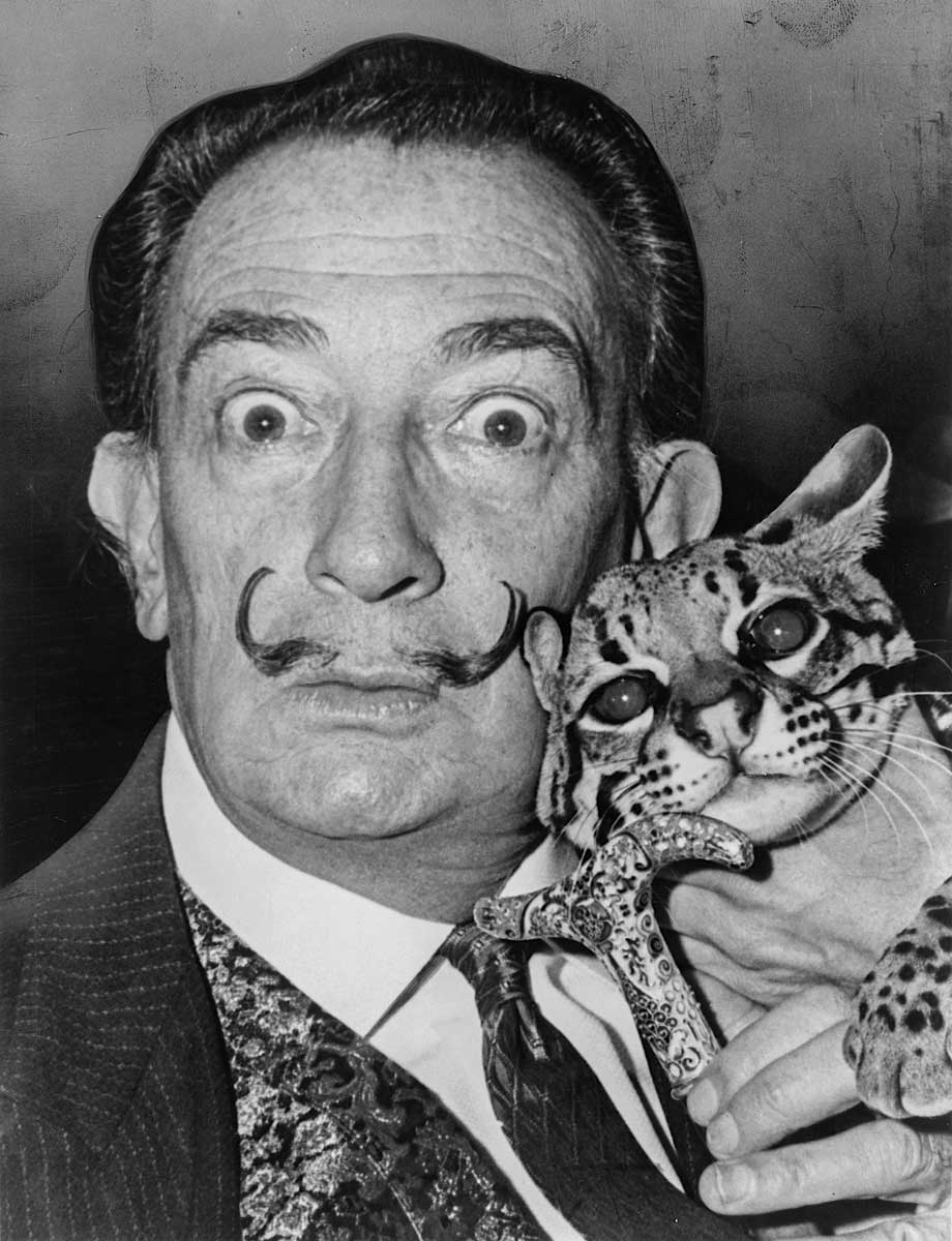 salvador dali babou the ocelot