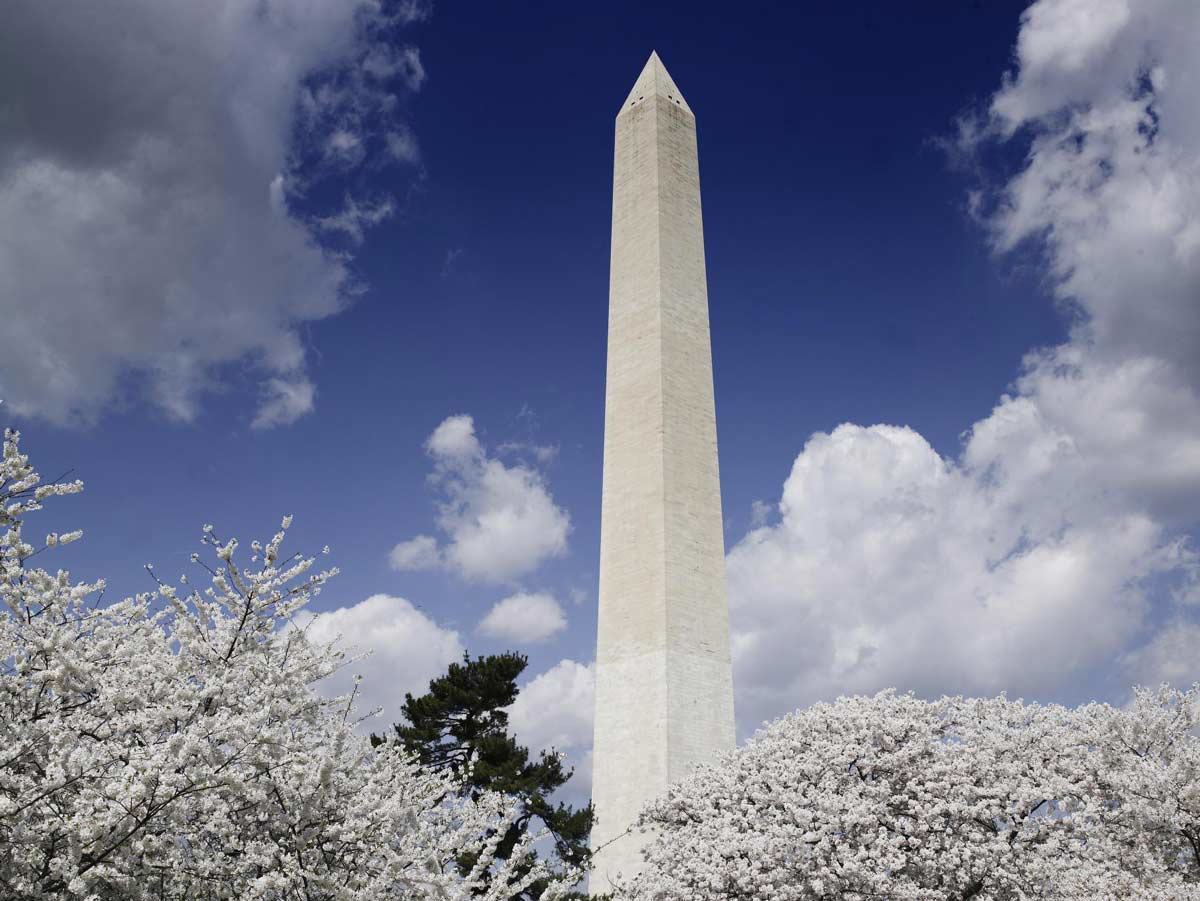 washington monument cherry blossom