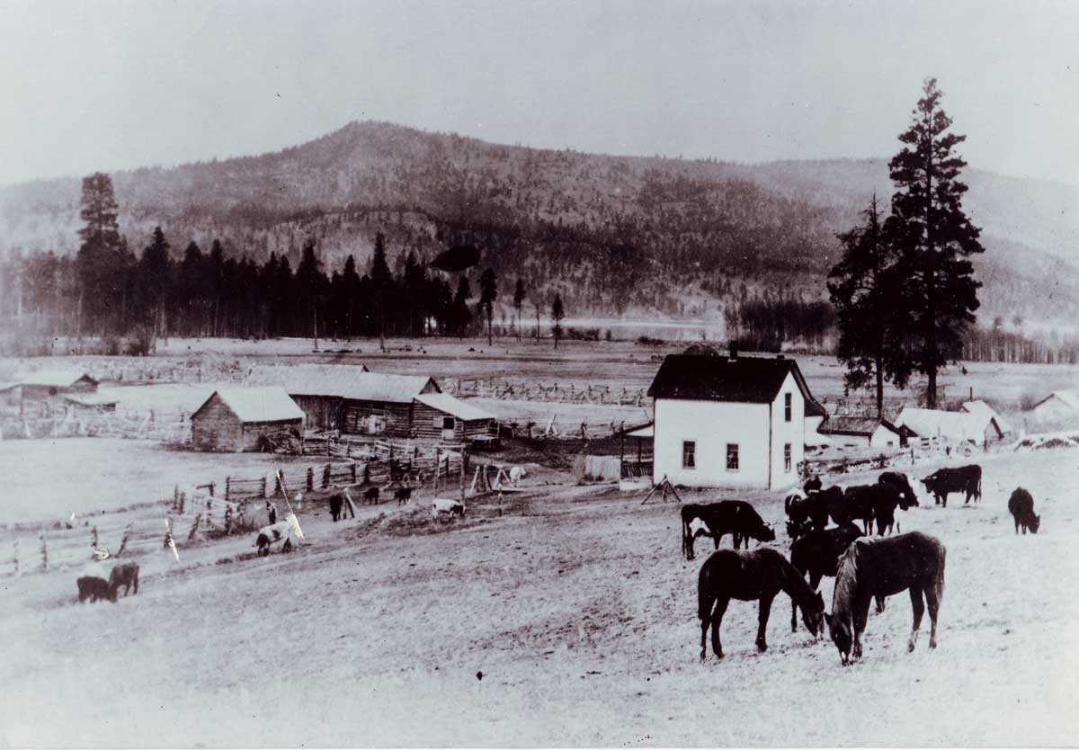 winfield lodge