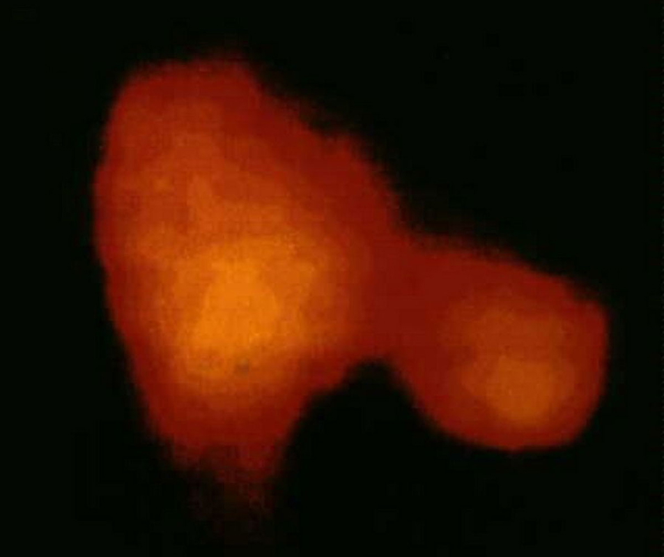 Halley's comet photo taken by the Russian Vega 2 spacecraft, one of two Soviet probes in March 1986. Source: European Space Agency