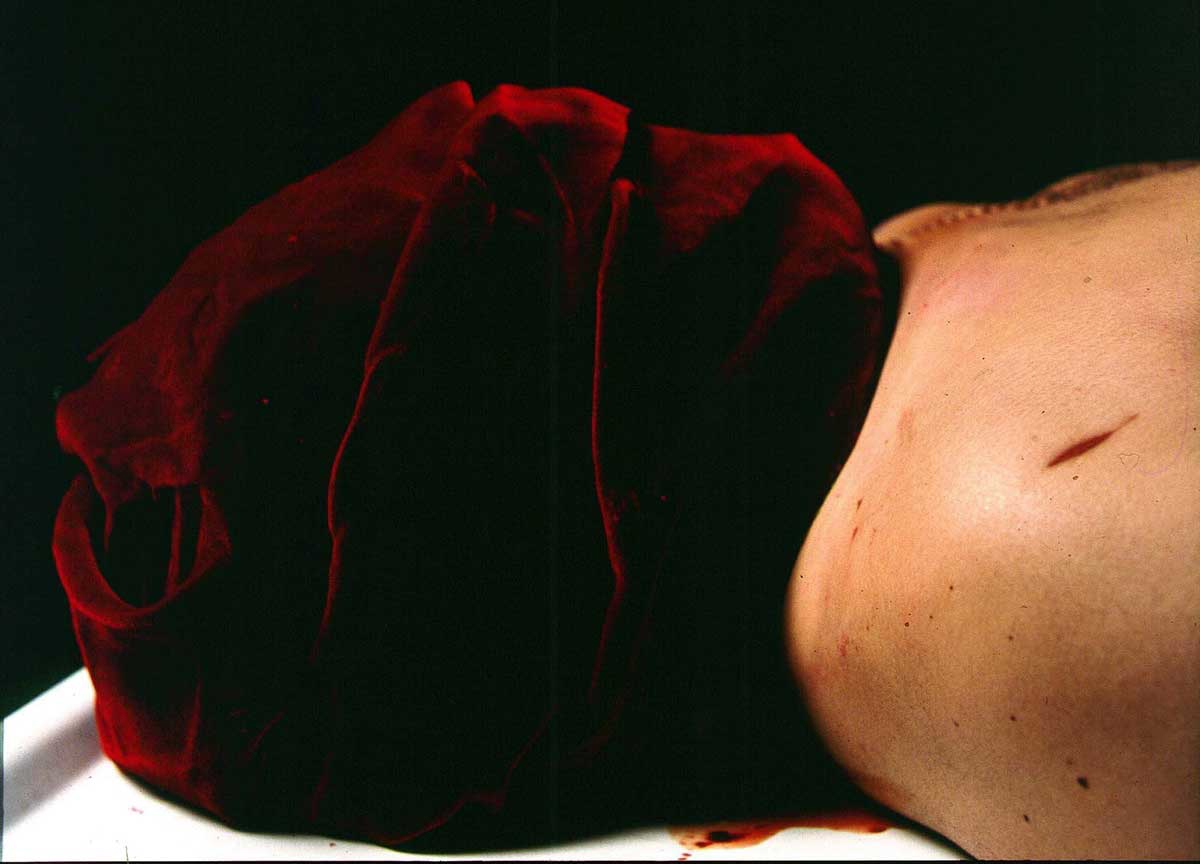 andres serrano the morgue