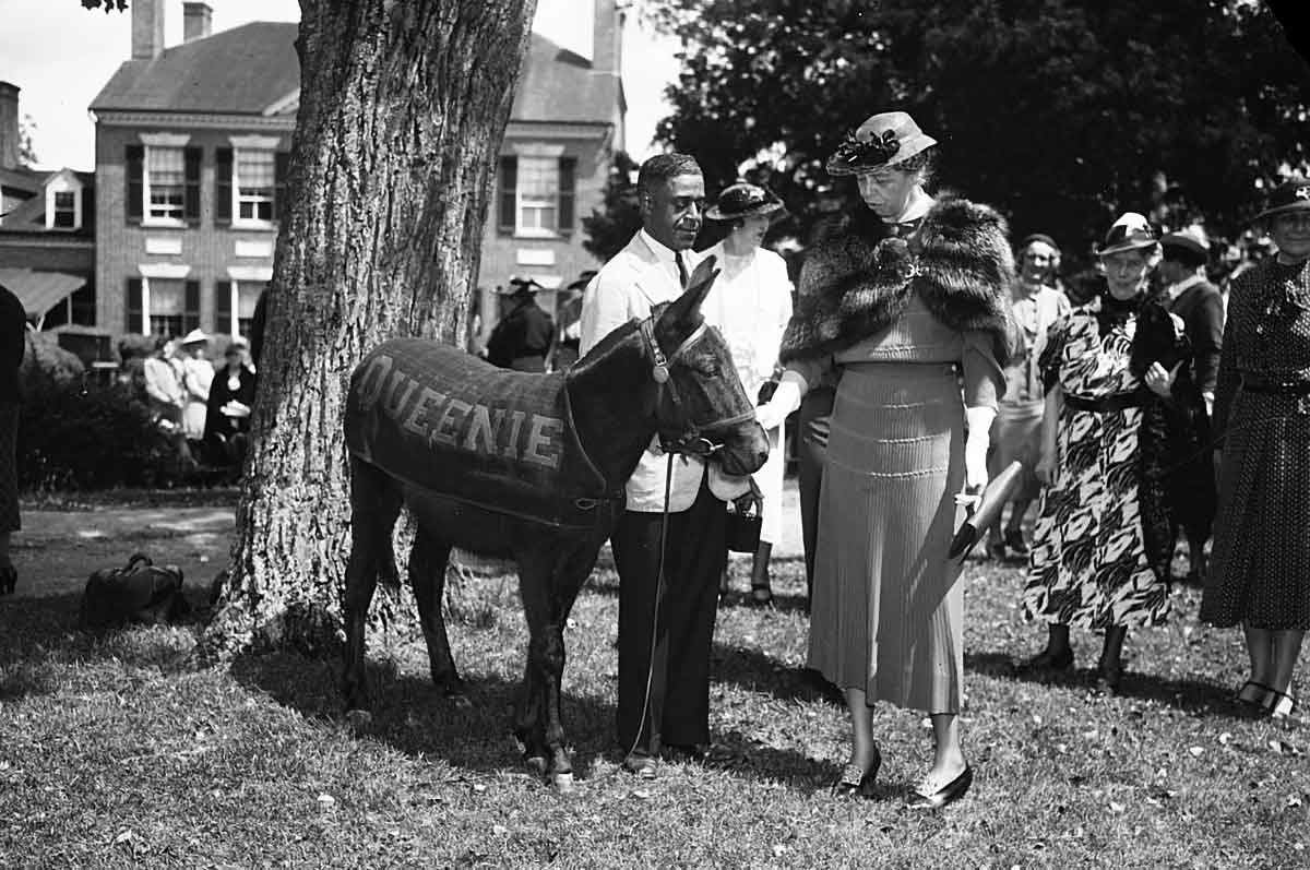 democratic presidents eleanor roosevelt