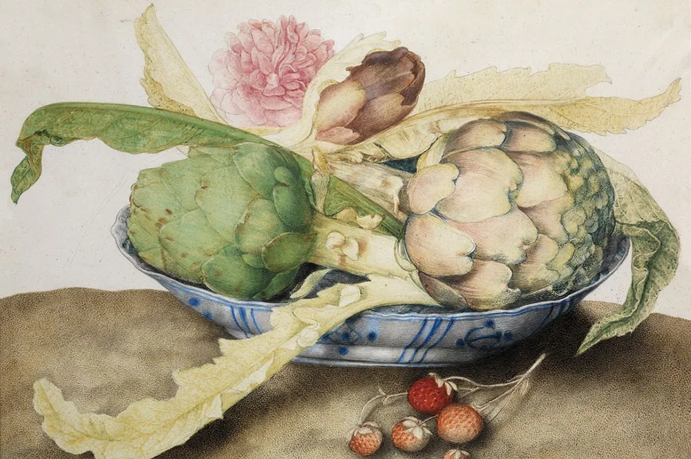 giovanna garzoni still life watercolor uffizi