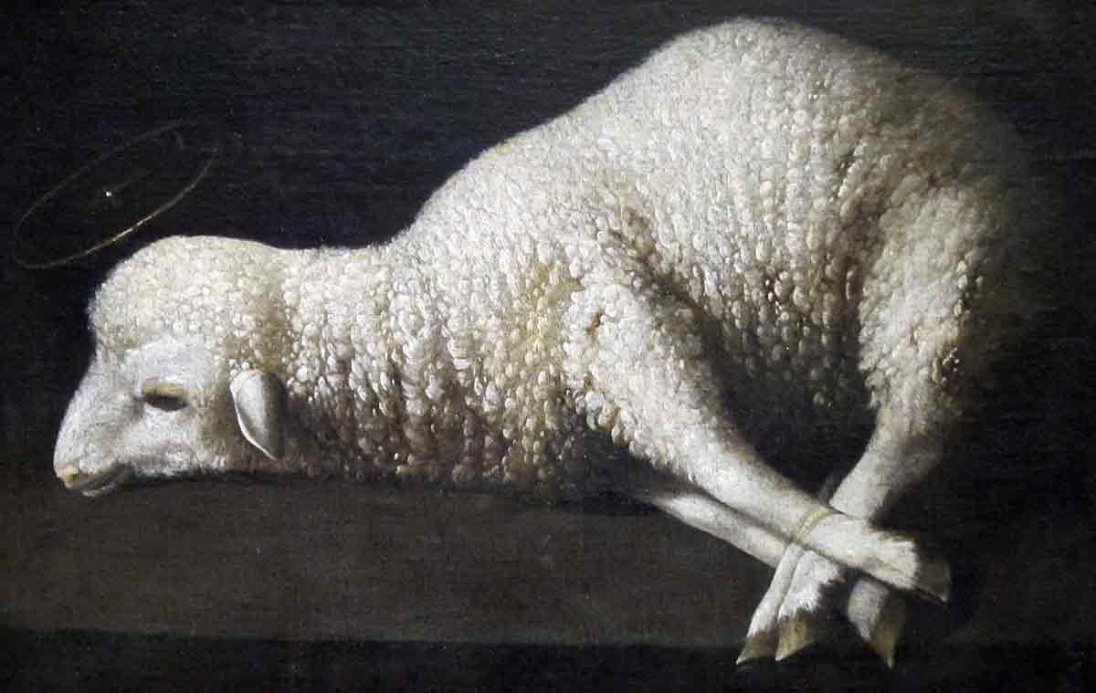 lamb of god
