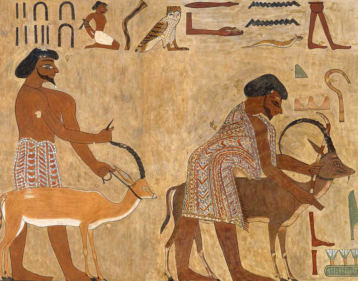 nomads leaders painting tomb khnumhotep davies ibex animals