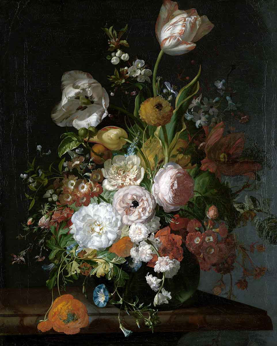 rachel ruysch still life flowers rijksmuseum